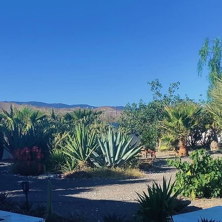 Cortijo Oro Verde B&B Tabernas Zewnętrze zdjęcie