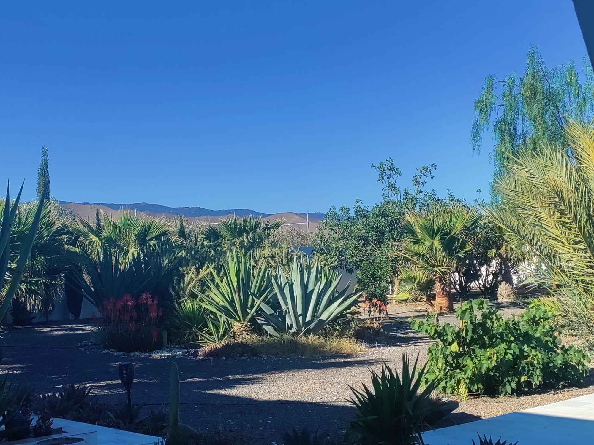 Cortijo Oro Verde B&B Tabernas Zewnętrze zdjęcie